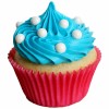 Little Debbie Cupcake